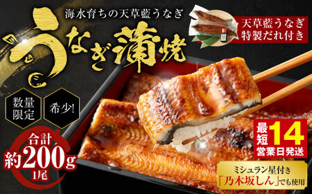 [ミシュラン星付きのプロが愛用]1日10セット限定!海水育ちの天草藍うなぎ 蒲焼き 1尾セット[合計約200g] 数量限定!! 鰻 ウナギ うなぎ うなぎ蒲焼 鰻の蒲焼 うなぎ 国産