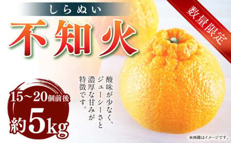 [先行受付][数量限定]不知火 約5kg 柑橘 でこぽん デコポン 果物 フルーツ 熊本県 上天草市[2026年2月下旬から3月下旬順次発送]