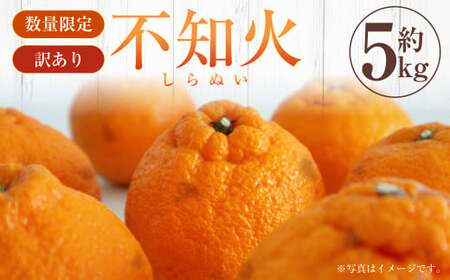 [先行受付][数量限定][訳あり]不知火 約5kg 訳あり 訳アリ 柑橘 フルーツ 果物 果実 くだもの みかん 蜜柑 ミカン 九州産 熊本県 上天草市[2026年2月下旬から3月下旬順次発送]