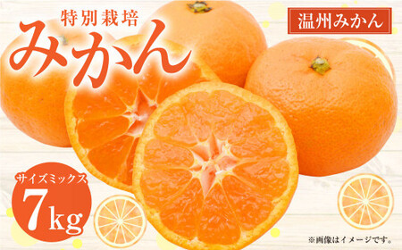 ystz ʍ͔|݂ 7kg TCY~bNX B݂ ݂ ~J  t[c k ʕ ʎ F{ Vsy2025N12{2026N1{Jnz