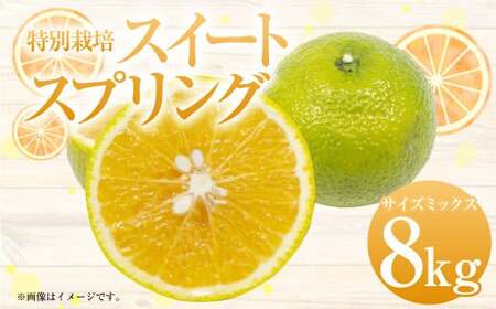 [先行受付]特別栽培スイートスプリング 8kg サイズミックス スイートスプリング 柑橘 フルーツ みかん 果物 天草 熊本県産[2025年12月下旬から2026年2月上旬発送予定]