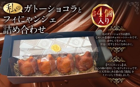 まるで生チョコ!? 私のガトーショコラとフィにゃンシェ 詰め合わせ ガトーショコラ チョコ チョコケーキ フィナンシェ ケーキ スイーツ セット 詰め合わせ 小麦粉不使用 グルテンフリー 冷蔵 熊本県 上天草市