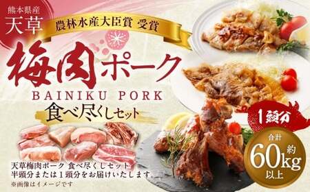 [豚1頭分!]完全無薬!梅肉エキス肥育 熊本県産 天草梅肉ポーク 食べ尽くしセット 一頭 約60kg以上 肉 お肉 豚肉 ポーク 詰め合わせ セット 冷凍 熊本県 上天草市