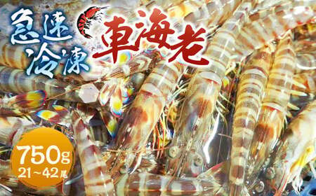 }ⓀԊCV 750gi21-42j CV  Gr ԊCV ԃGr N}Gr Ⓚ F{ Vs