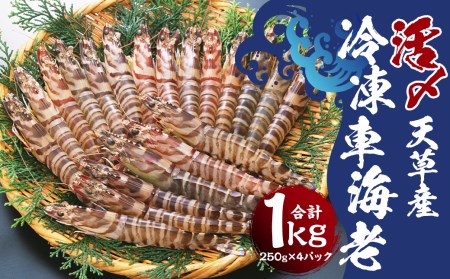 天草産 活 〆冷凍 車海老 250g×4パック (28〜40尾入り)