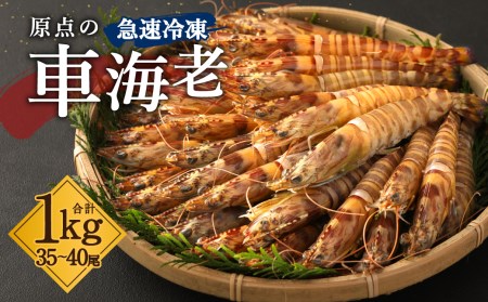 _ ԊCV }Ⓚ 1kg (35`40) 500g×2pbN