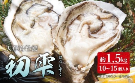 [限定100個]天草岩ガキ「初雫」約1.5kg(10〜15個)加熱用 冷蔵