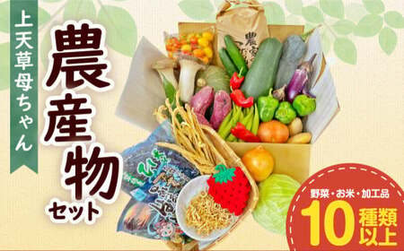 上天草母ちゃん農産物セット 野菜・お米・加工品10種類以上!