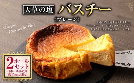 天草の塩バスチー(プレーン)2ホール セット 直径15cm 450g×2 900g チーズ チーズケーキ