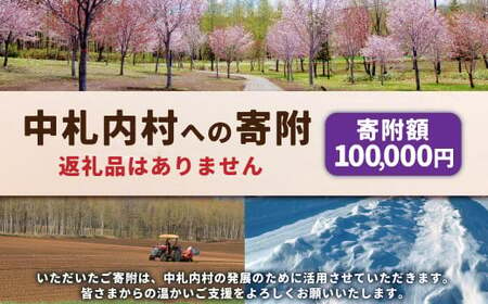 中札内村への寄附(返礼品はありません) 1口 100,000円 10万円 北海道 中札内村 寄附のみ 寄附 [038-0020]