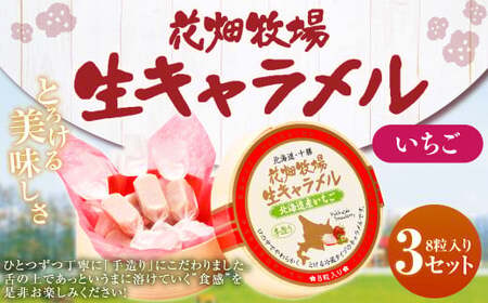 花畑牧場 生キャラメル 北海道産いちご 8粒入り×3セット キャラメル お菓子 おやつ いちご 苺 ストロベリー 冷蔵 [002-0084]