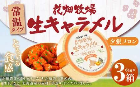 花畑牧場 生キャラメル 夕張メロン(常温) 64g×3セット キャラメル お菓子 おやつ メロン [002-0090]