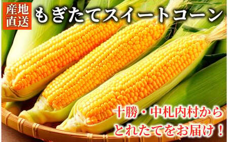 [先行受付/期間限定 200セット][北海道・十勝 美しい村] 早い者勝ち!!産地直送★太陽の恵みを限りなく浴びたもぎたてとうもろこし/とうきび(スイートコーン) 10本 とうもろこし トウモロコシ コーン 野菜 冷蔵 国産 [2026年7月上旬〜9月下旬 発送予定][015-0092x1]