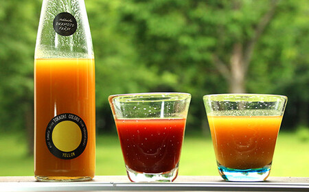 y\zžbݖ!g}gx[ƃ~jg}g̔ZW[XZbg[032-0255]