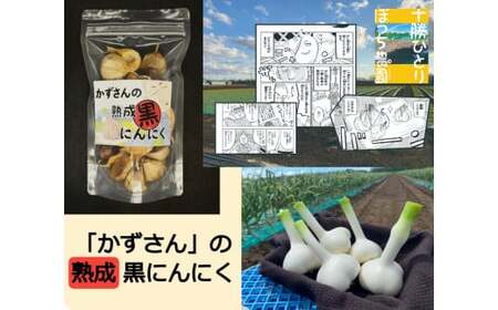 w\ЂƂڂ_xłȂ݁IXSr_Ɓuv̏nɂɂ220g [020-0254]