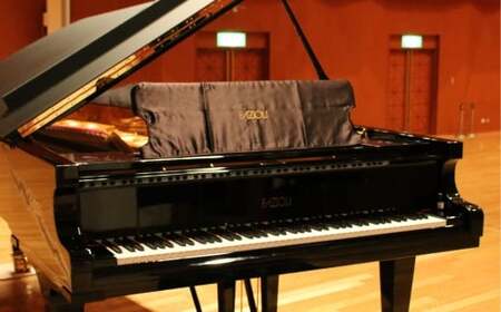 グランドピアノ 「 FAZIOLI ( ファツィオリ )」 平日 3時間 弾き放題 1回分 ピアノ 演奏 ファツィオリピアノ 演奏体験 体験 チケット 体験チケット 利用券 券 貸切