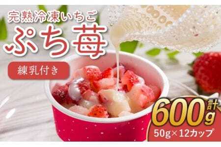  Ⓚ 50g×12Jbv v600g  n Ⓚ  uՂ䕁v 50g×12Jbv v600g t 1{i120gj 䕉 F{YⓀ FsYⓀ BYⓀ