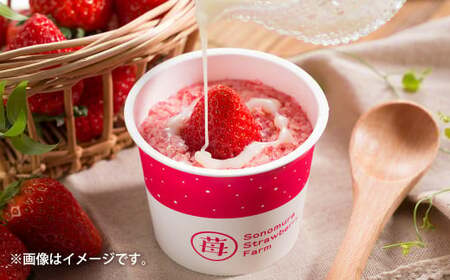 完熟 冷凍 いちご 「さら苺」 6カップ 合計300g 練乳付き 1本(120g) 園村苺園