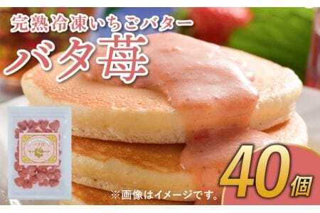 いちご いちごバター 40個 完熟 冷凍 いちごバター 「バタ苺」 1袋(12g×40個) 合計480g 園村苺園 熊本県産いちご 宇城市産いちご 九州産いちご