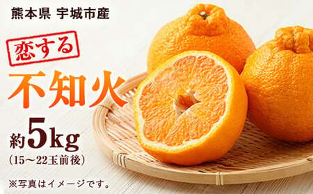 [2024年3月下旬〜順次発送予定]恋する 不知火 約5kg(15〜22玉)御舩果樹園 果物 柑橘