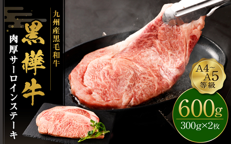 牛肉 ステーキ 300g×2 計600g 牛肉 ビーフ サーロイン BBQ アウトドア おかず 肉 キャンプ ステーキ すてーき 和牛 お肉 黒毛和牛 霜降り 国産 冷凍 九州産黒毛和牛 杉本本店 黒樺牛 A4〜A5等級 肉厚サーロイン 300g×2 計600g