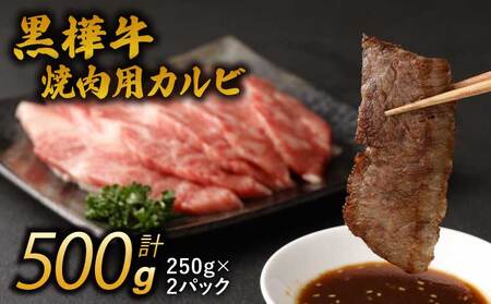 焼き肉 カルビ 250g×2 計500g 九州産黒毛和牛 杉本本店 黒樺牛 A4〜A5等級 焼肉用カルビ 250g×2 計500g