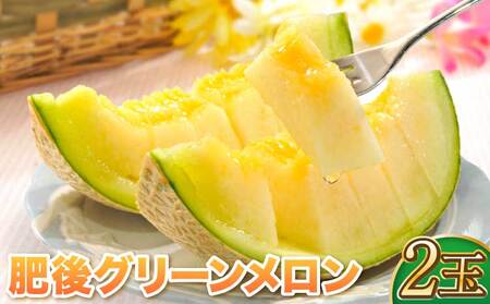 肥後グリーン メロン 2玉 藤山農園[2025年6月中旬から順次発送予定] 熊本県産メロン 宇城市産メロン 肥後グリーンメロン ジューシーメロン 緑肉メロン