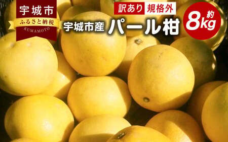 パール柑 8kg 規格外 サイズ不選別[2025年1月下旬〜2月下旬発送予定] 果物 くだもの フルーツ 柑橘 文旦 ぶんたん ザボン ポンカン