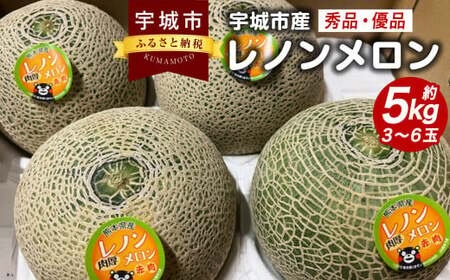 レノンメロン 約5kg(3〜6玉) 秀品 優品 赤肉メロン[2025年4月下旬〜5月下旬発送予定]果物 くだもの フルーツ メロン めろん