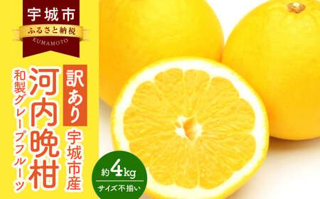 訳あり 河内晩柑 4kg[2025年3月下旬から2025年7月下旬発送予定]晩柑 ジューシーオレンジ 果物 フルーツ 規格外 不揃い