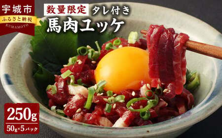 [数量限定]馬肉ユッケ 250g タレ付き 1パック50g 個包装 肉 お肉 馬刺し 馬肉 馬 ユッケ