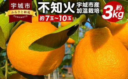 [先行予約] 宇城市産 加温栽培 不知火 約3kg(約7玉〜10玉)[坂下園][2024年12月上旬から下旬発送予定]しらぬい 蜜柑 熊本県産 九州産 国産