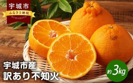 宇城市産 訳あり不知火 約3kg(7〜12玉前後)[高岡農園][2025年3月上旬〜2025年4月上旬発送予定]不知火 デコポン 柑橘 果物 フルーツ 完熟