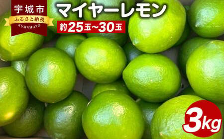 マイヤーレモン 3kg(25玉〜30玉) [ひかる農園][9月上旬から12月下旬発送予定]レモン れもん 檸檬