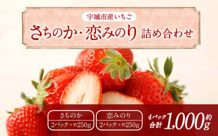 [1月発送]宇城市産いちご 「さちのか」「恋みのり」詰め合わせ 各約250g×2パック 計4パック [わたなべいちご園]