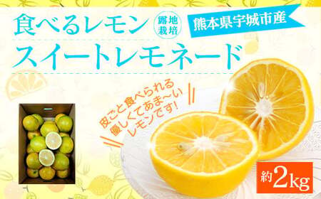 食べるレモン スイートレモネード 約2kg(15〜25玉)[吉田レモニー][2024年12月上旬〜2025年6月上旬発送]檸檬 柑橘