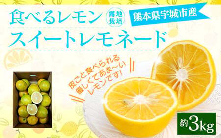 レモン 食べるレモン スイートレモネード 約3kg(20〜30玉)[吉田レモニー][2024年12月上旬〜2025年6月上旬発送]檸檬 柑橘 食べられるレモン スイートレモン 皮ごとレモン 宇城市産レモン