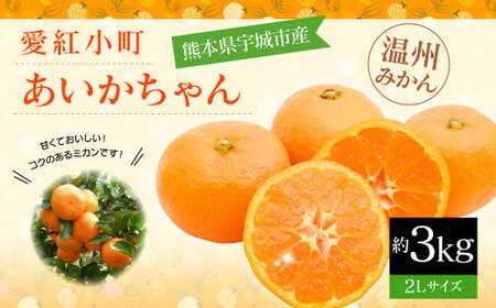 愛紅小町 あいかちゃん 約3kg 15〜20玉 2Lサイズ [吉田レモニー][2024年10月上旬〜2025年1月下旬発送]温州みかん