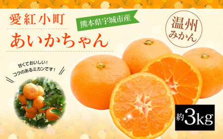 愛紅小町 あいかちゃん 約3kg 25〜35玉[吉田レモニー ][2024年10月上旬〜2025年1月下旬発送]温州みかん