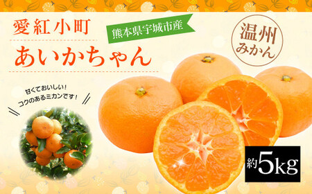 みかん 愛紅小町 あいかちゃん 約5kg 45〜55玉 [吉田レモニー] [2024年10月上旬〜2025年1月下旬発送]温州みかん 熊本県産みかん 宇城市産みかん 国産みかん