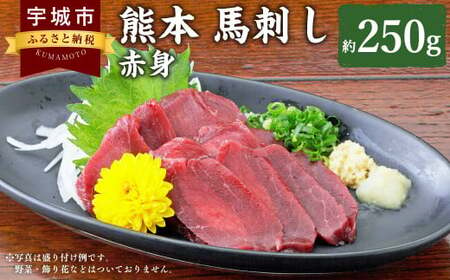 熊本 馬刺し 赤身 250g (50g ×5個) 醤油たれ付 肉 お肉 馬 馬肉 冷凍 熊本県