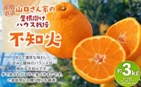 [先行受付]屋根掛けハウス栽培 山口さん家の不知火 約3kg 8〜10玉 3L〜4L[2025年1月上旬から2月上旬発送予定]柑橘 宇城市産デコポンと同品種 デコポン発祥の地 品種は不知火 はJA熊本うきを代表するブランド柑橘