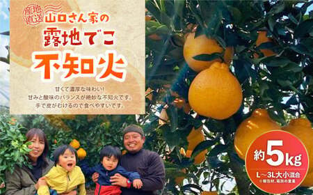 [先行受付]山口さん家の露地でこ不知火 約5kg L〜3L 大小混合 [2025年2月上旬から3月下旬発送予定]柑橘 宇城市産デコポンと同品種 デコポン発祥の地 デコポンの品種は不知火 デコポンはJA熊本うきを代表するブランド柑橘