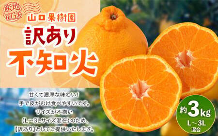 [先行受付]山口果樹園 訳あり 不知火 約3kg L〜3L混合[2025年2月上旬から4月上旬発送予定]不知火 しらぬい 蜜柑 くだもの フルーツ 果物