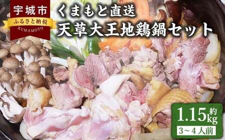 鶏 くまもと直送 天草大王 地鶏鍋 セット (3〜4人前) 鶏 鶏肉 鶏鍋 地鶏 冷凍鶏