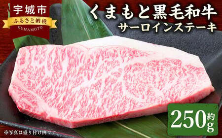 ステーキ くまもと黒毛和牛 サーロインステーキ 250g 牛ステーキ 牛肉 和牛ステーキ サーロイン 熊本 冷凍ステーキ