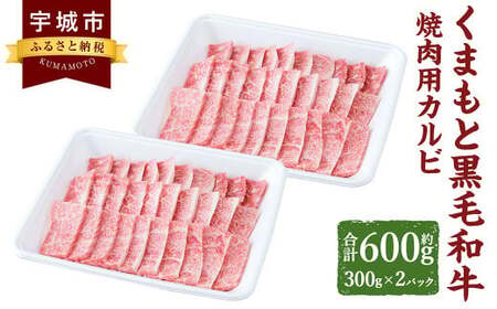 くまもと黒毛和牛 焼肉用 カルビ 600g (300g×2パック) 肉 お肉 牛 牛肉 和牛 焼肉 焼き肉 熊本黒毛和牛