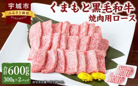 くまもと黒毛和牛 焼肉用 ロース 600g (300g×2パック) 肉 お肉 牛 牛肉 和牛 焼肉 焼き肉 熊本黒毛和牛