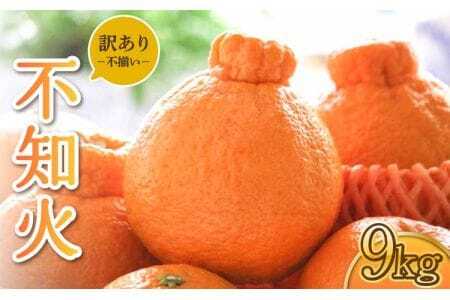 雑誌「MORE」掲載商品 不知火 訳あり品 9kg 【松川果樹園】【2025年3月上旬から4月下旬発送予定】しらぬい 柑橘 不知火デコポン®  デコポンの品種名が不知火 デコポン® デコポンはJA熊本果実連の登録商標 デコポン発祥の地