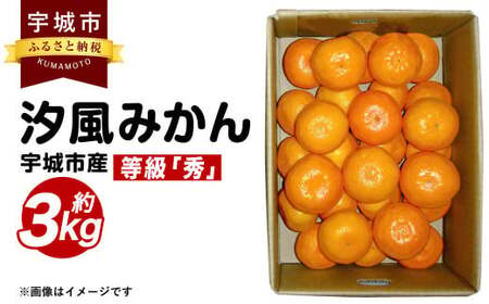 汐風みかん 等級「秀」約3kg [のむちゃん農園][11月上旬から2025年1月下旬発送予定]みかん オレンジ 熊本県産みかん 宇城市産みかん 国産みかん